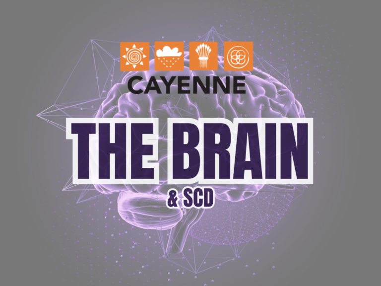 The Brain, Executive Function and Sickle Cell: A Neuropsychology Perspective